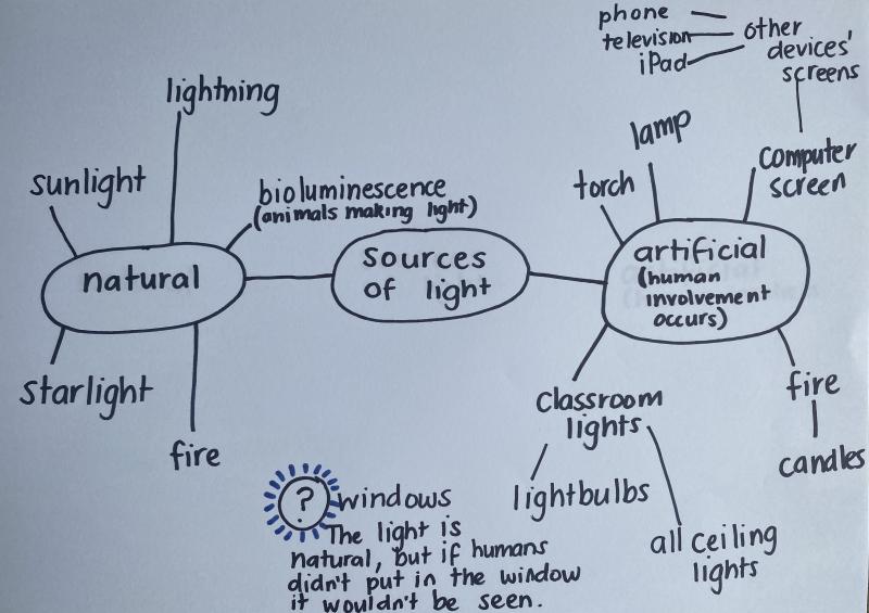 lesson-2-how-does-light-help-us-see-primary-connections